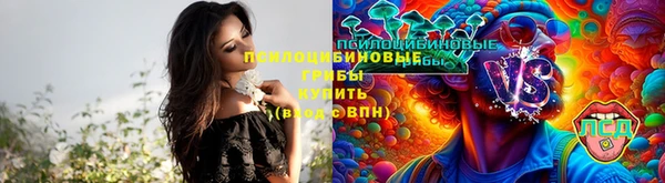 a pvp Надым