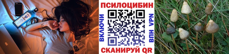 где можно купить   darknet состав  Псилоцибиновые грибы Magic Shrooms  Чистополь 