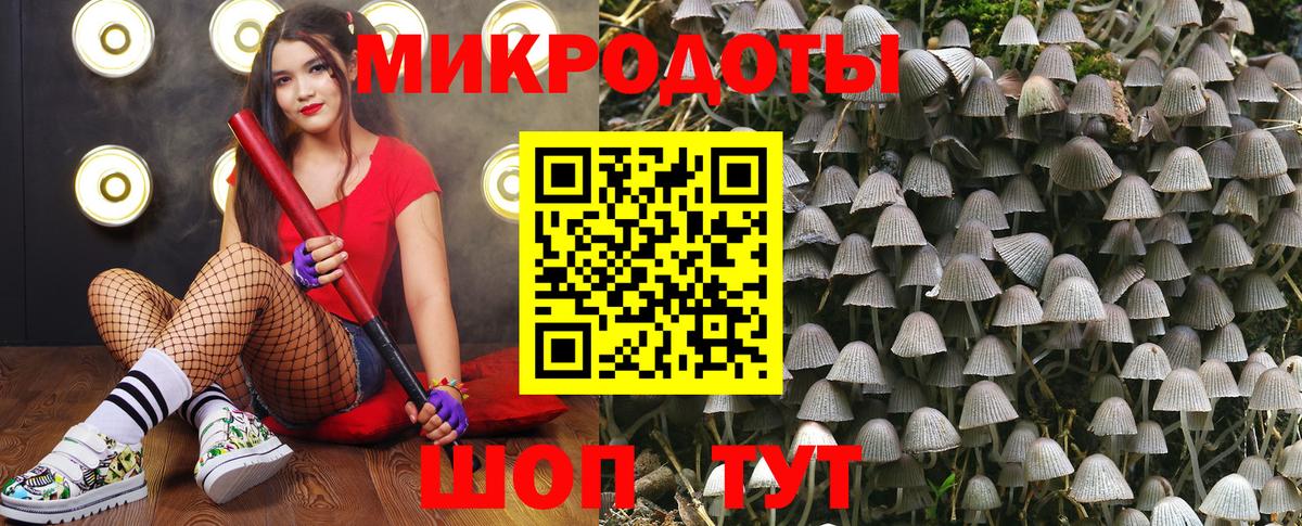 Галлюциногенные грибы MAGIC MUSHROOMS Чистополь