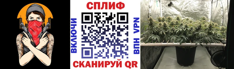 Конопля THC 21% Чистополь